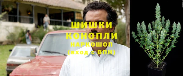 твердый Козельск