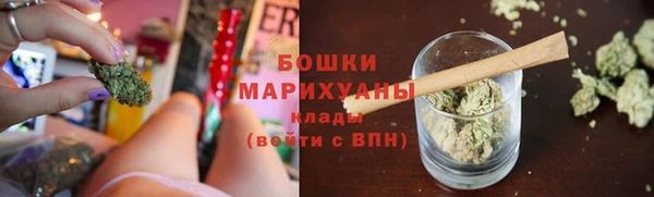 крисы Янаул
